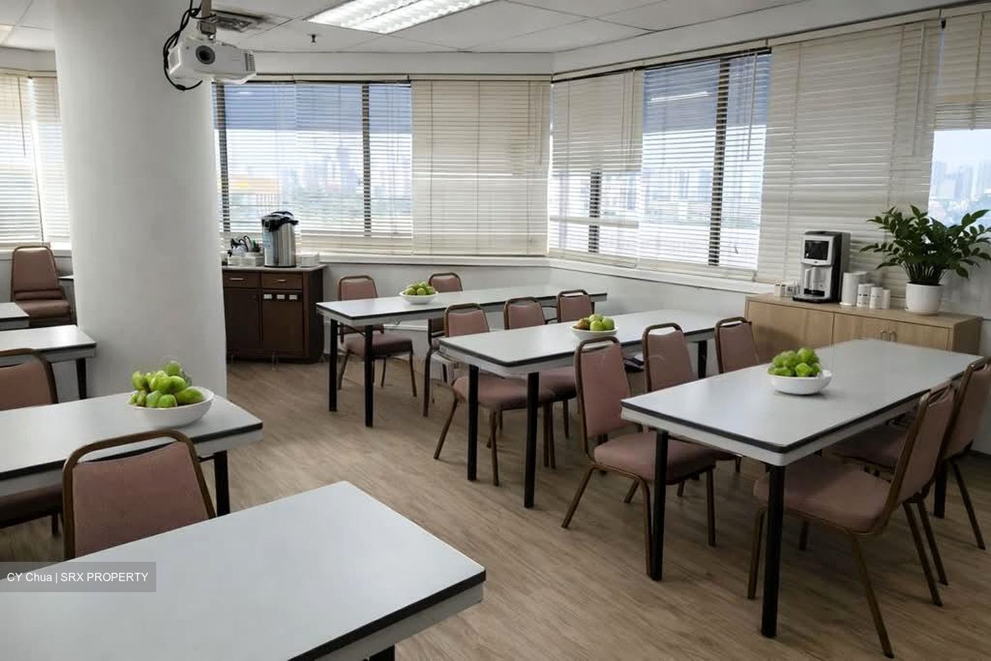 Sim Lim Tower (D8), Office #539419121